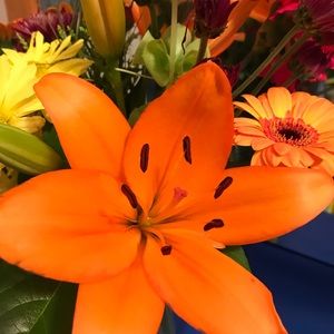 Meet your Posher, Miguel